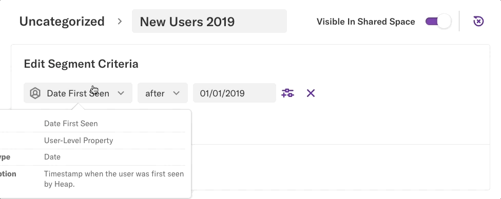 The category '2019' being added to a 'New Users 2019' event